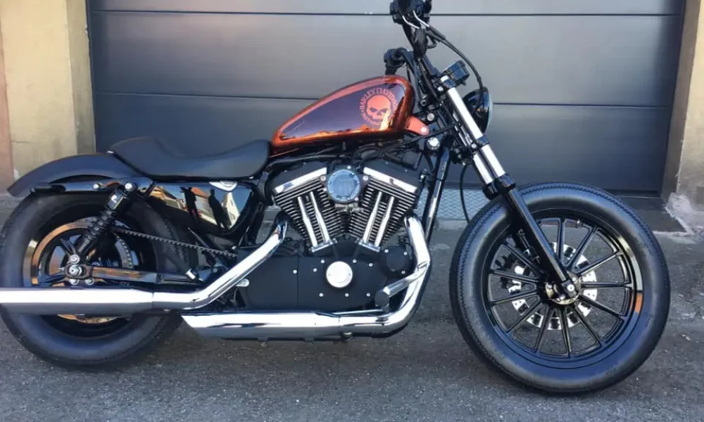 49250850_2232789636964540_6683284663823237120_n