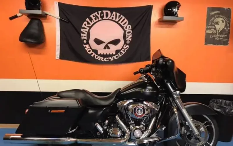 49512261_2232790980297739_361161347494313984_n