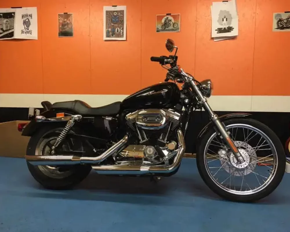 49833660_2232789350297902_665827236342923264_n