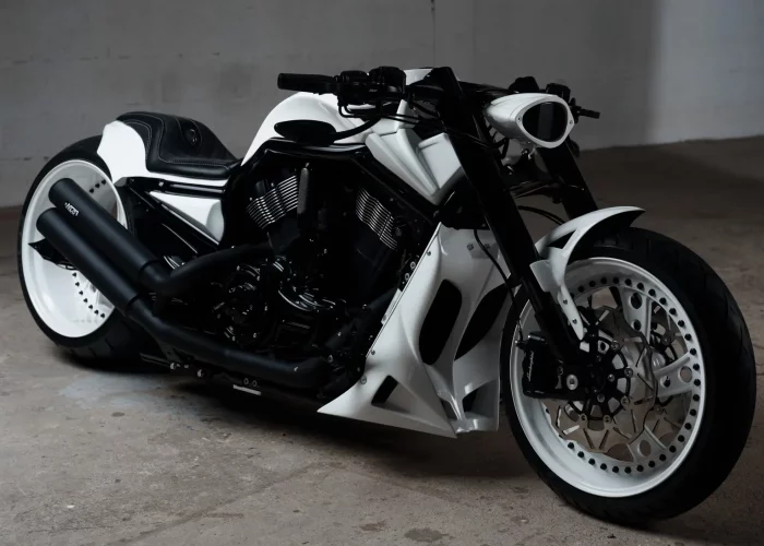 ©Bartosch Salmanski